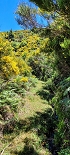 Plants: image 31 Of 208 Thumb